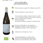 Schermata da 2026-02-25 13-51-26